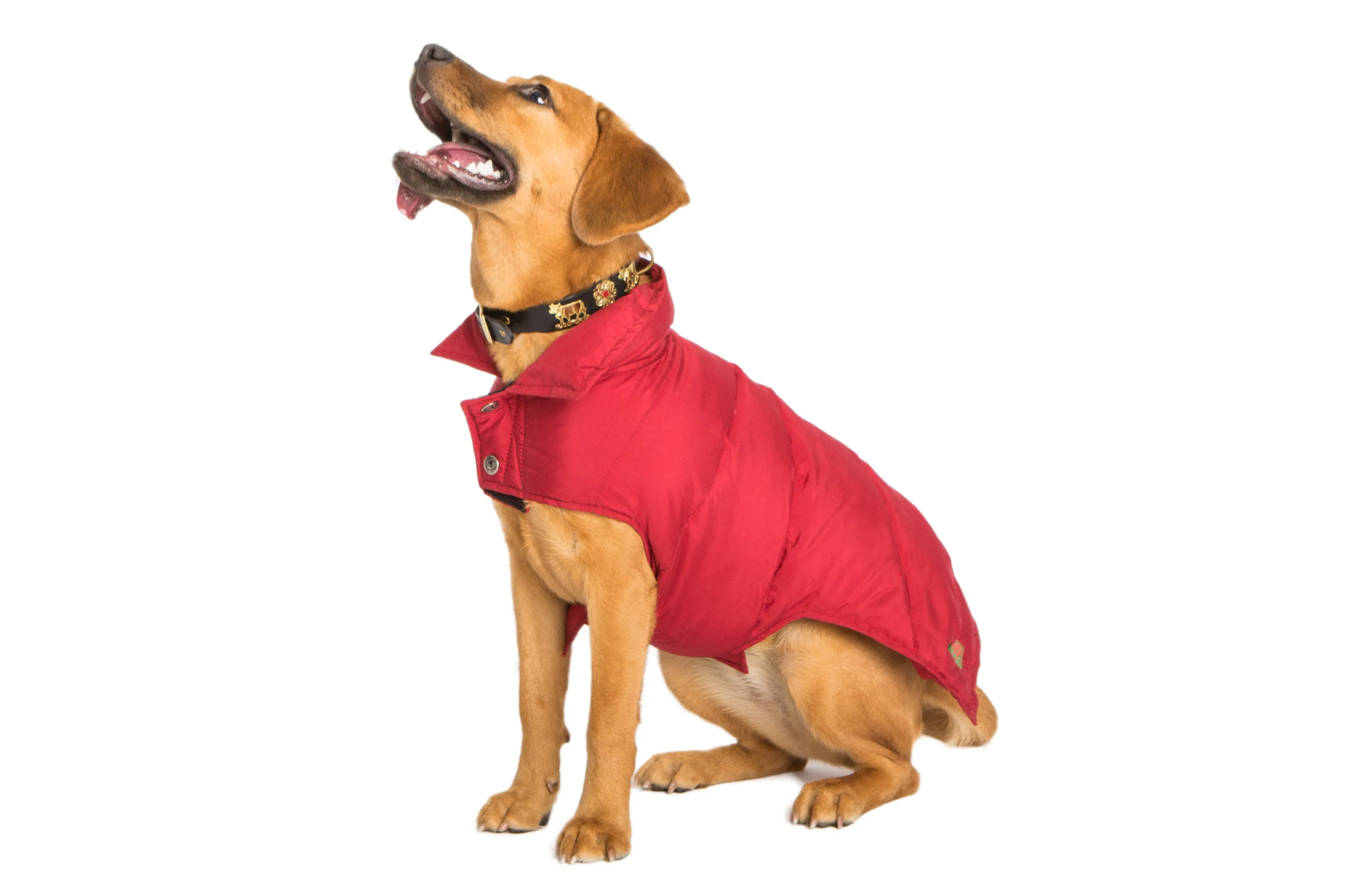 Down Puffer Coat - Brown & Cranberry