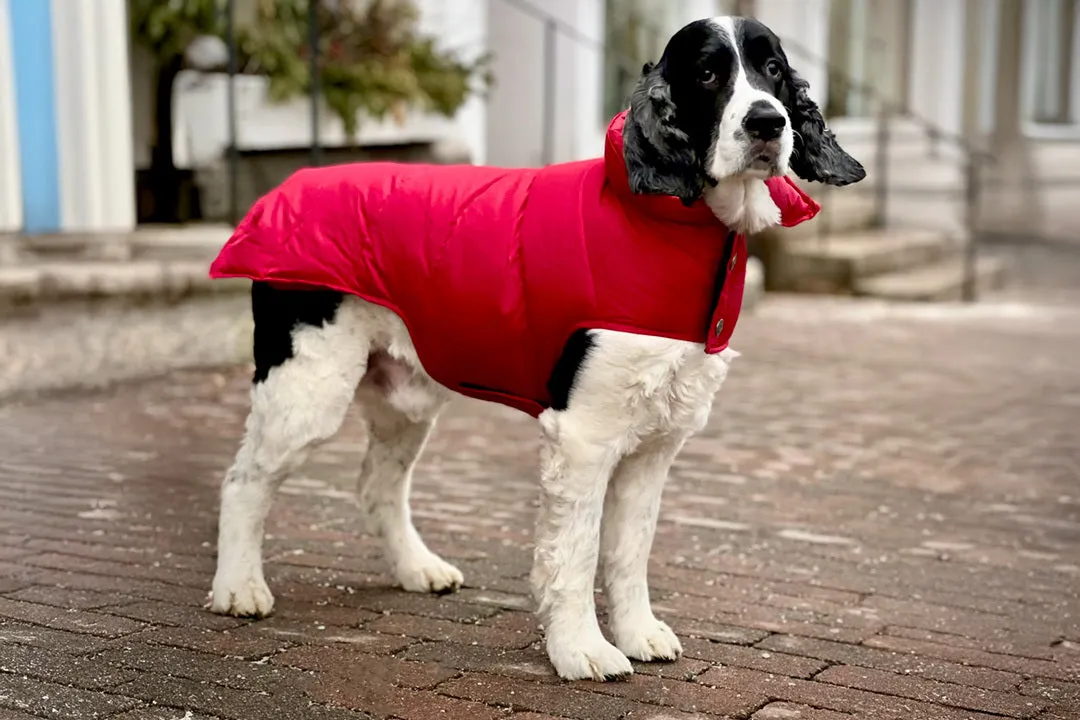 Down Puffer Coat - Brown & Cranberry