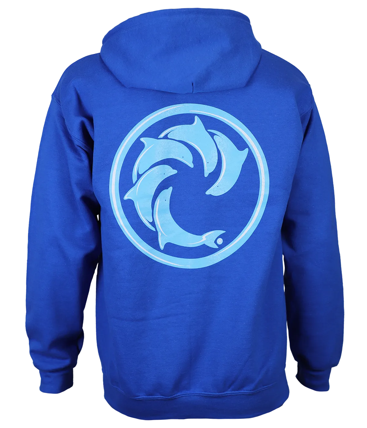 Highlight Zip Hooded Sweatshirt